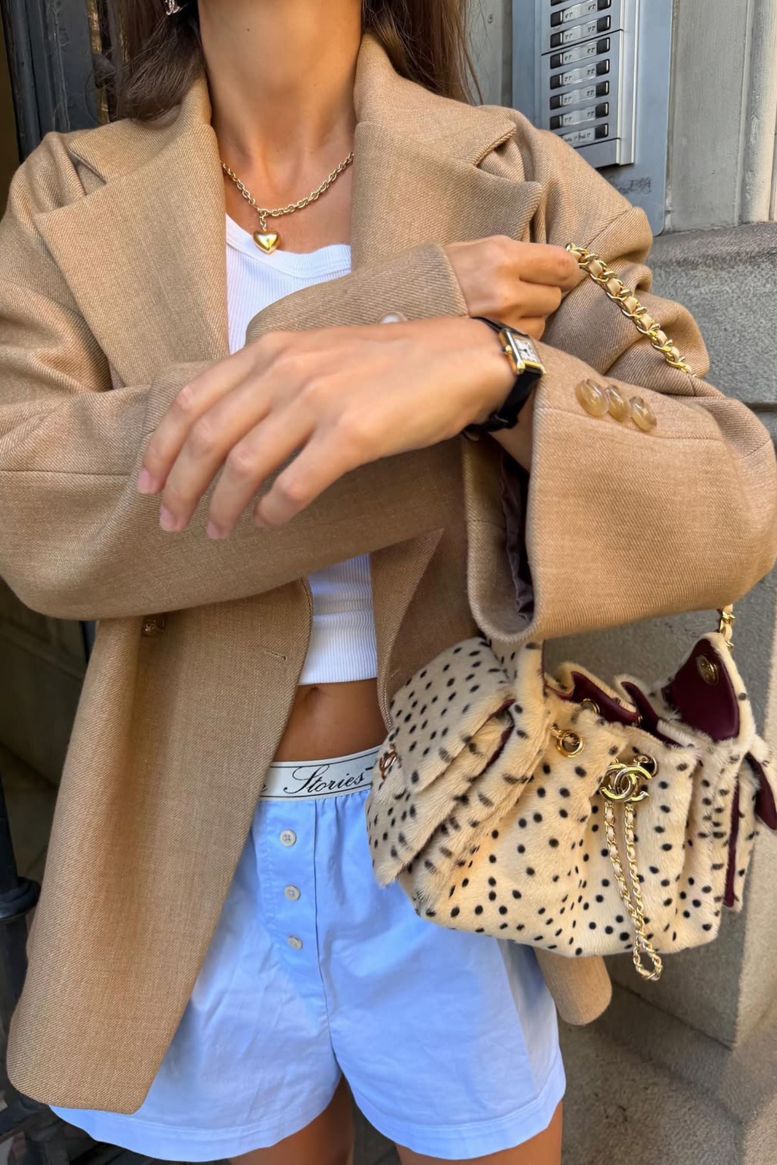 NEW Chanel 26A Mini Hobo Leopard Matthieu Blazy Light Beige & Black GHW