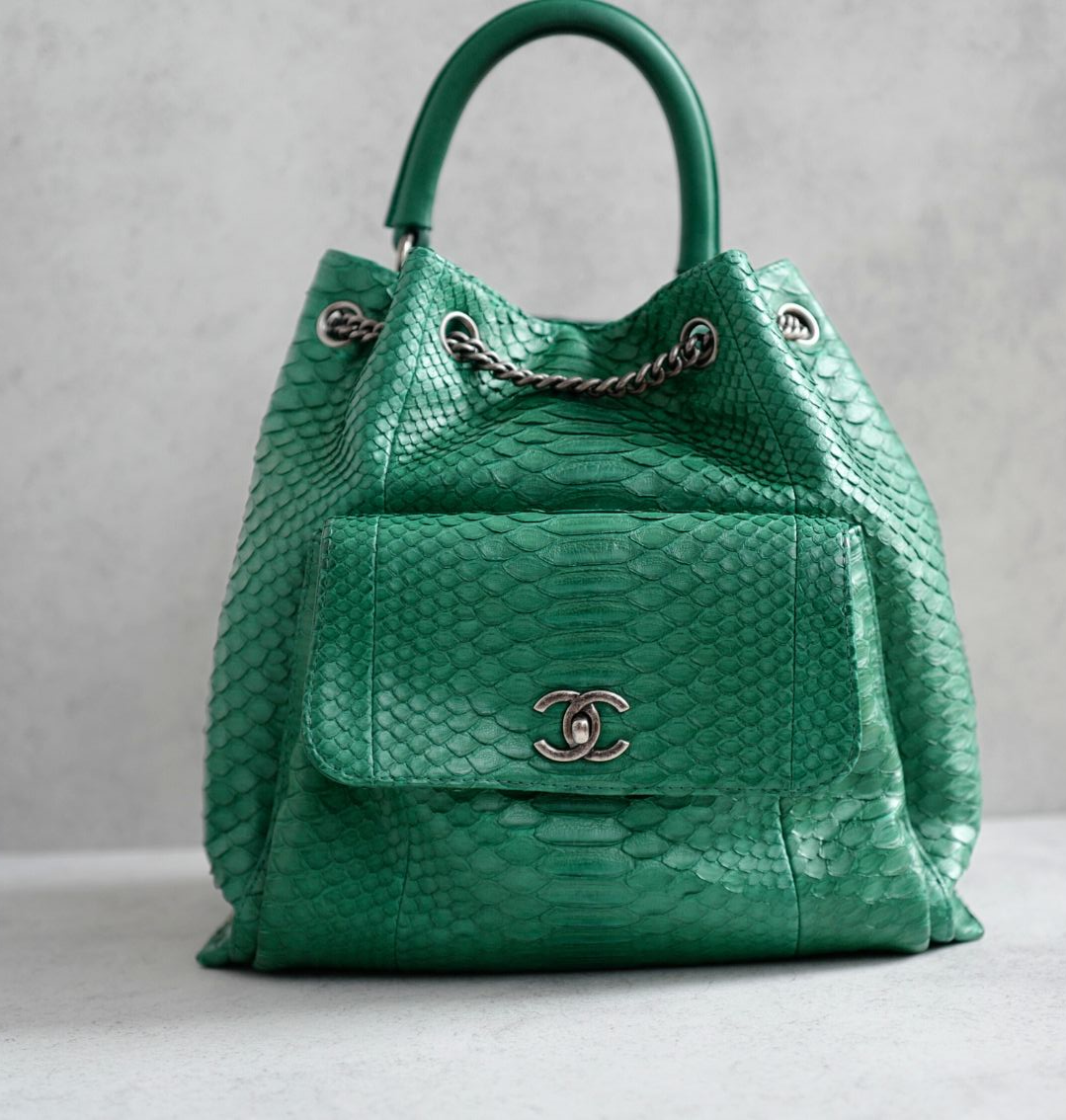 Chanel Gabrielle Backpack Drawstring bag In Phyton Exotic Rare Limited Edition