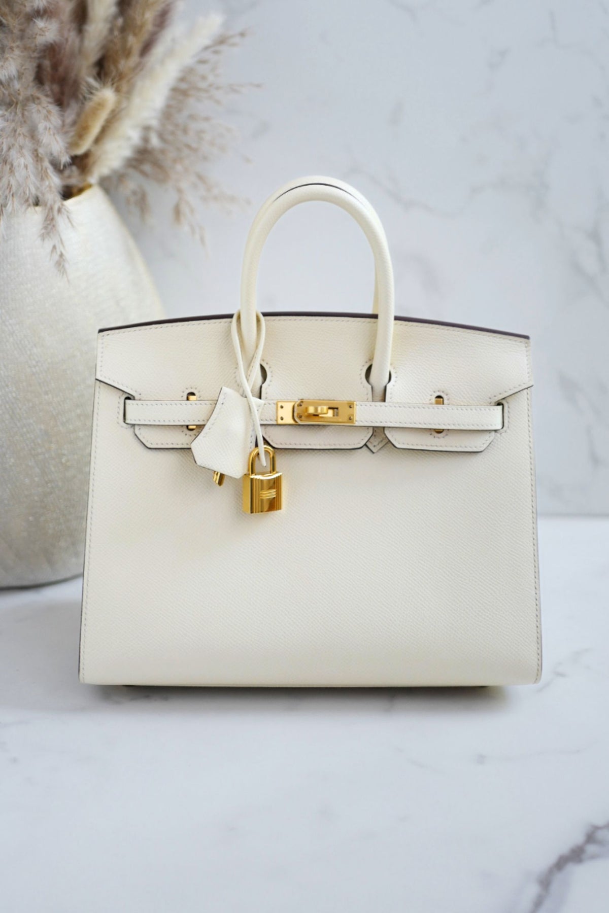 Hermes Birkin 25 Nata Epsom Sellier Gold Hardware