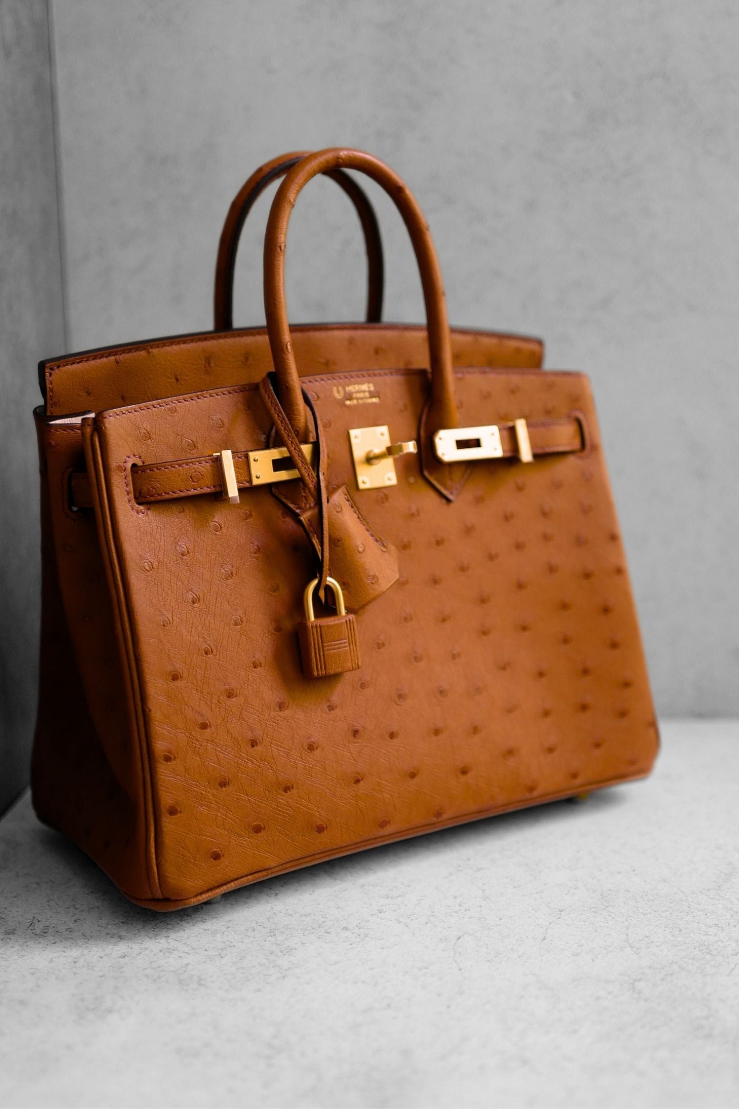 Hermès Birkin 25 Cognac Ostrich Leather Gold Hardware G Stamp 2026