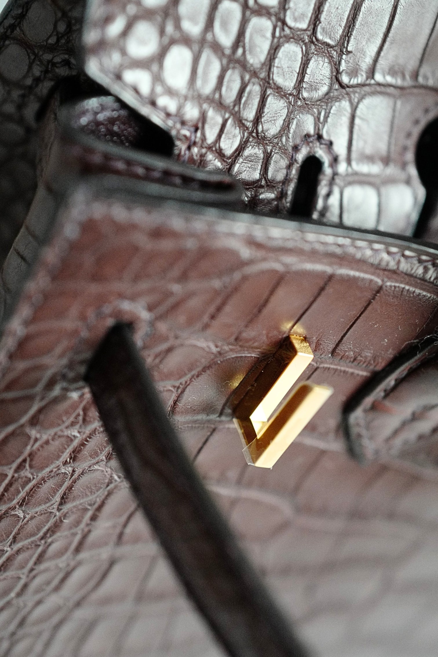 HERMÈS Birkin Sellier 20 Havane Matte Alligator with Gold Hardware