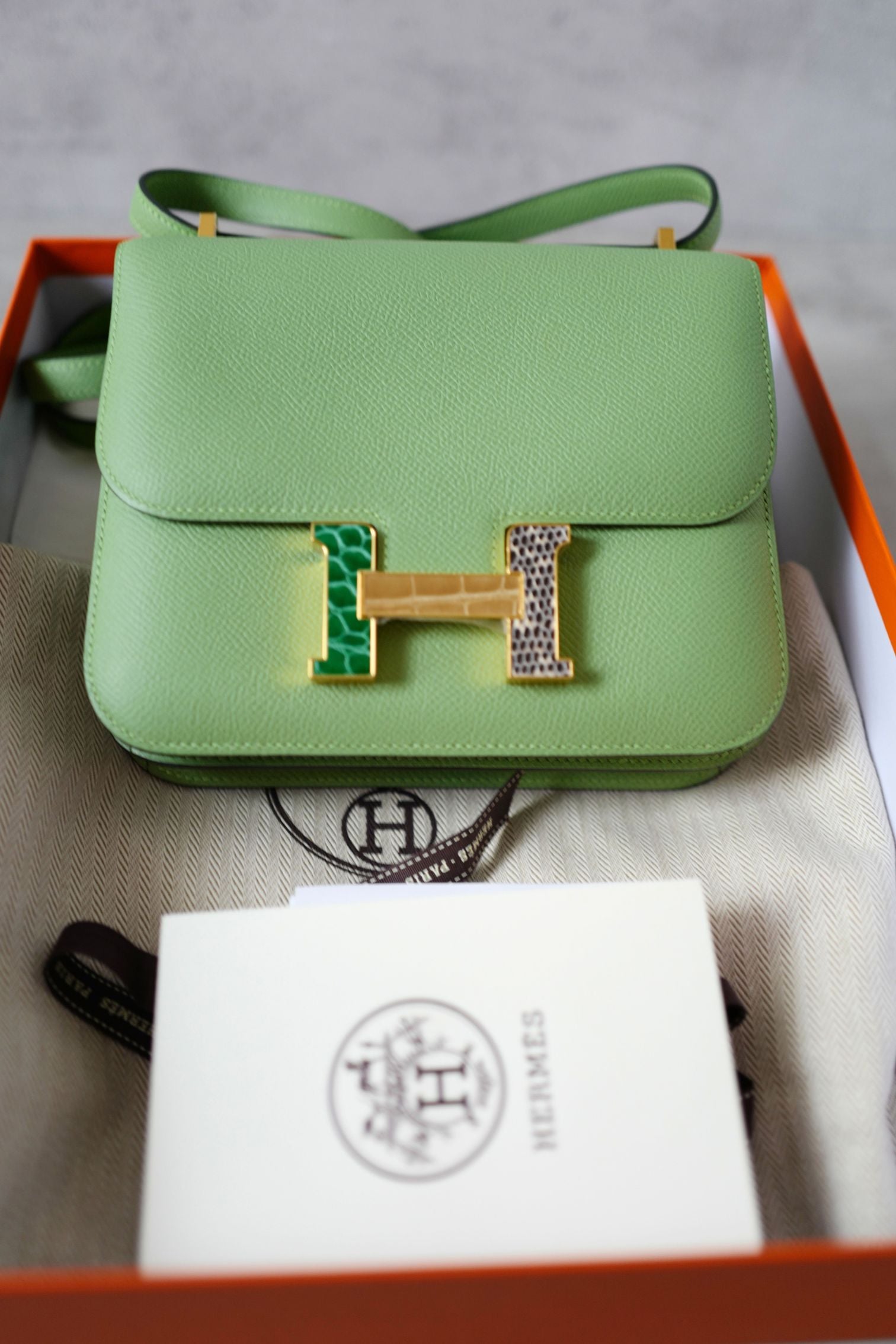Hermes Constance 18 Vert Criquet Epsom Leather Bag Exotic Buckle GHW