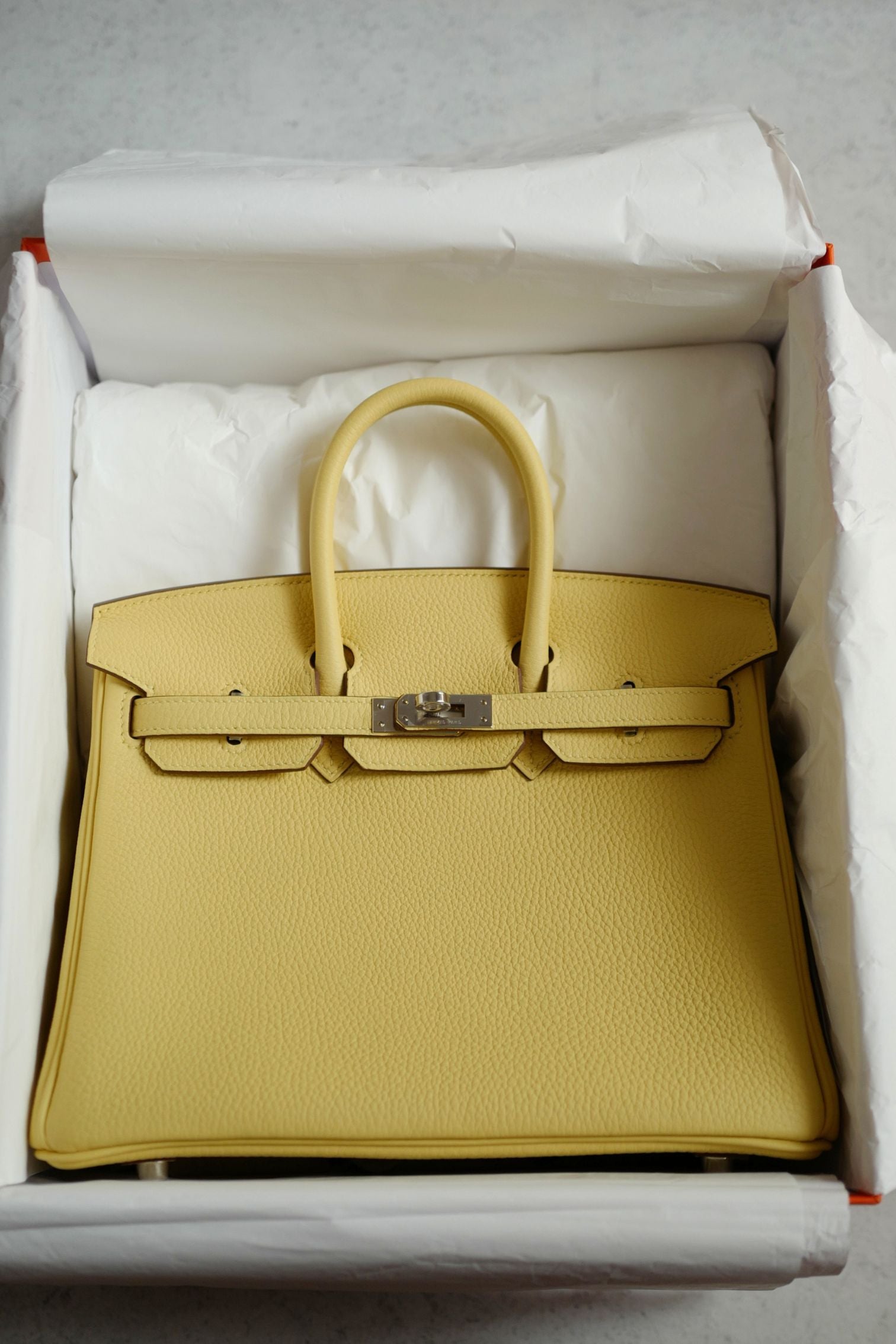 BNIB Hermès Birkin 25 Jaune Poussin Togo Leather Palladium Hardware G Stamp 2026