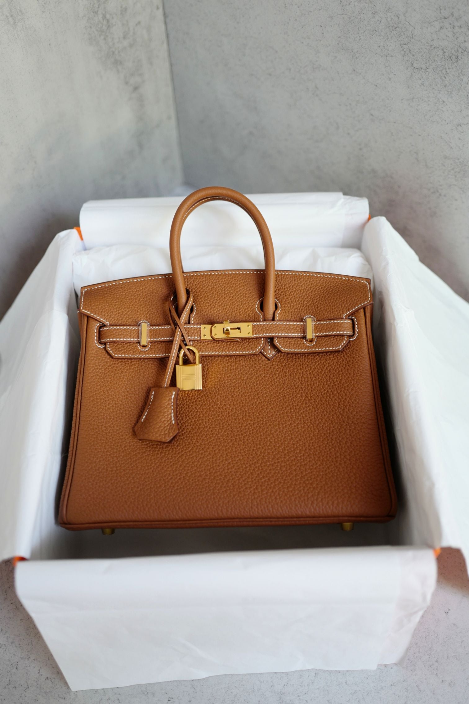 BNIB Hermes Birkin 25 Gold Togo Leather Gold Hardware G Stamp 2026
