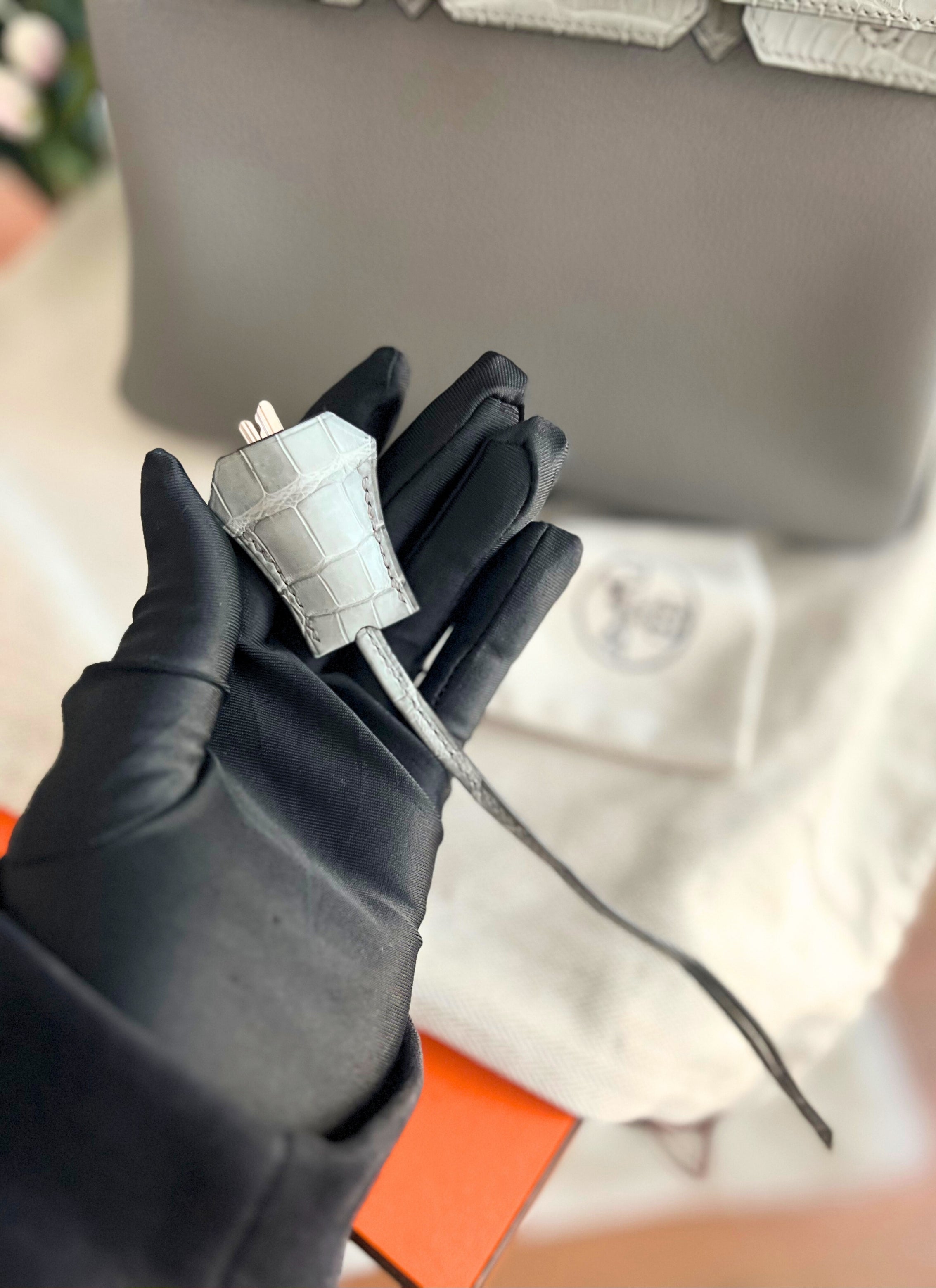 NEW Hermes Birkin 25 Touch Gris Meyer Palladium Hardware B Stamp 2023