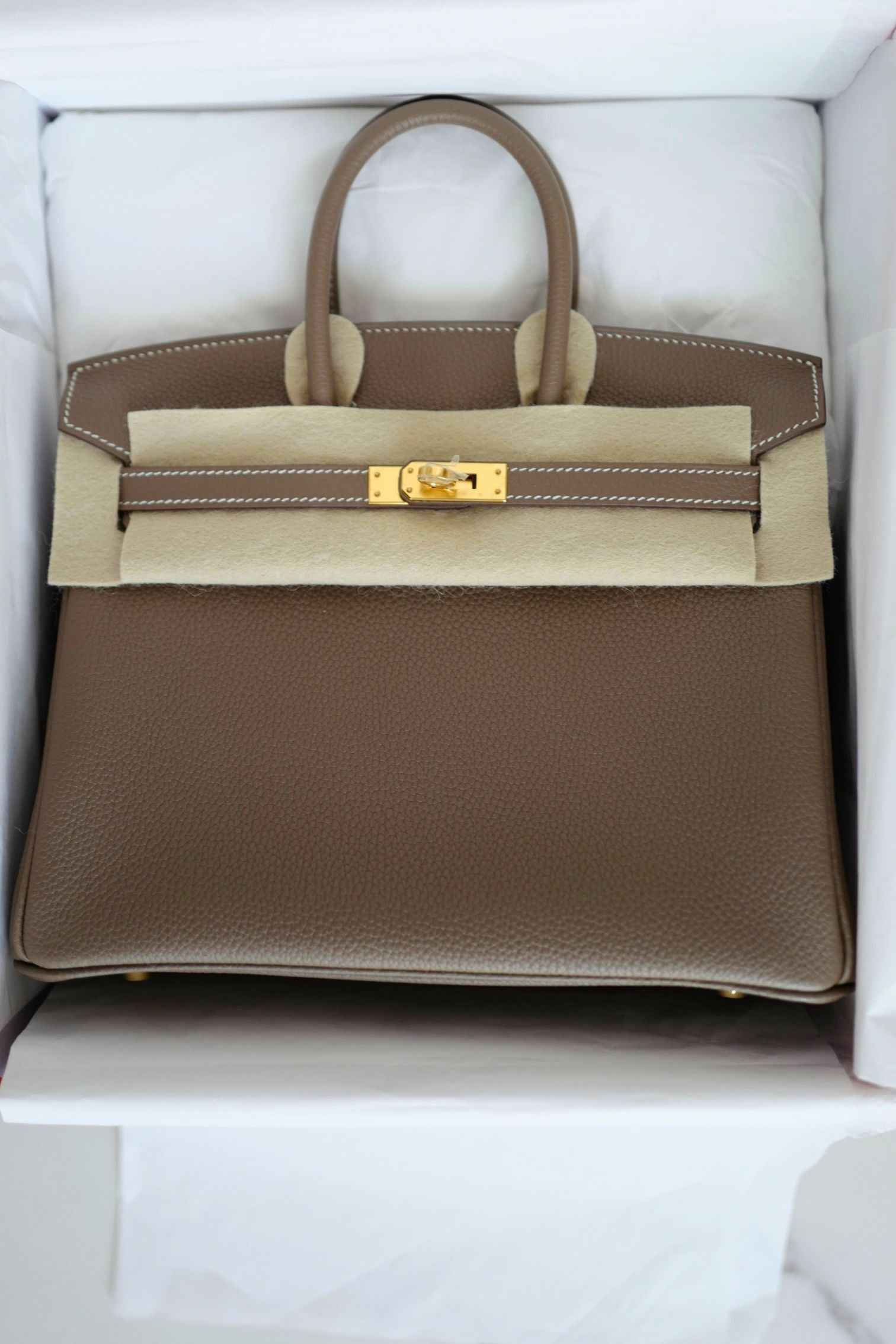 Hermes Birkin 25 Etoupe Togo Leather Gold Hardware K Stamp 2025