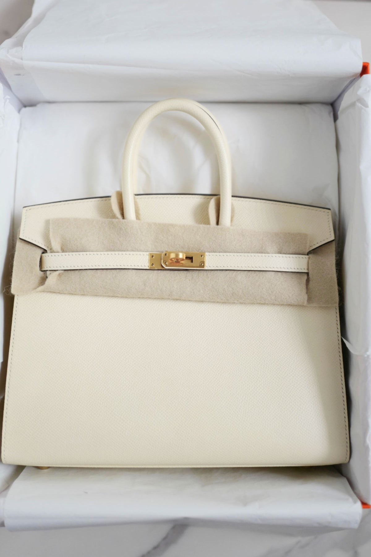 Hermes Birkin 25 Nata Epsom Sellier Gold Hardware