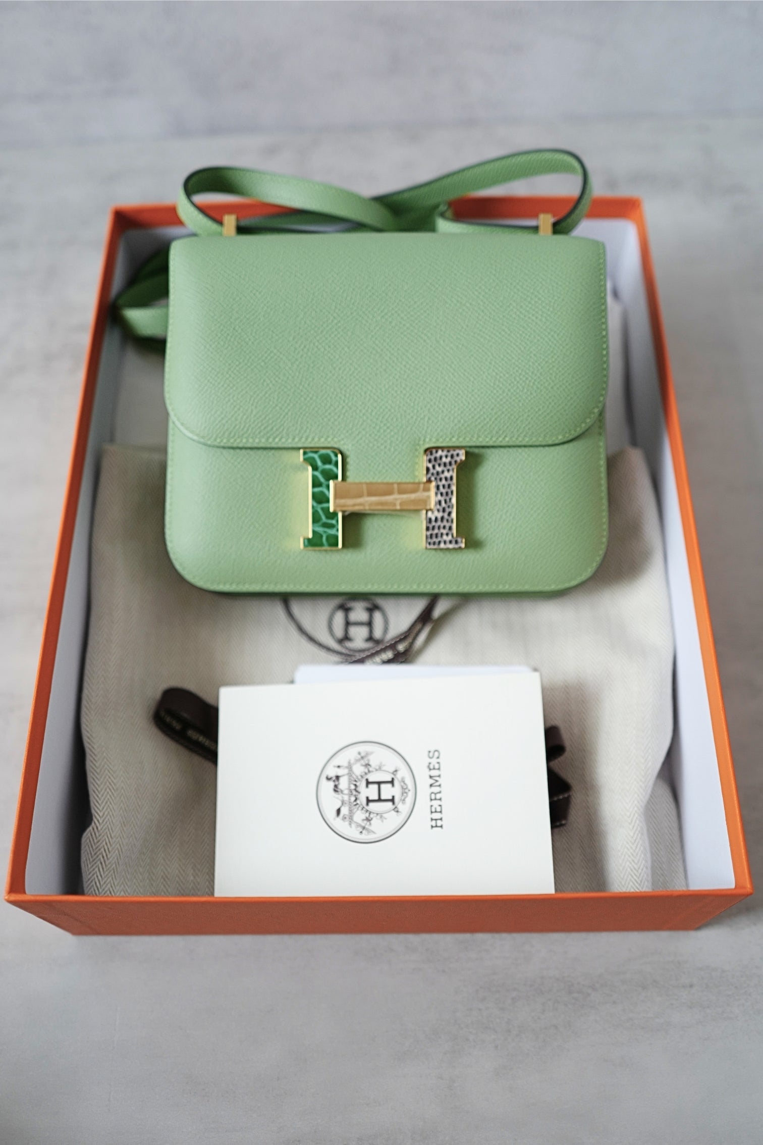 BNIB Hermès Constance 18 Vert Criquet Epsom Leather Bag Exotic Buckle GHW Stamp B 2023
