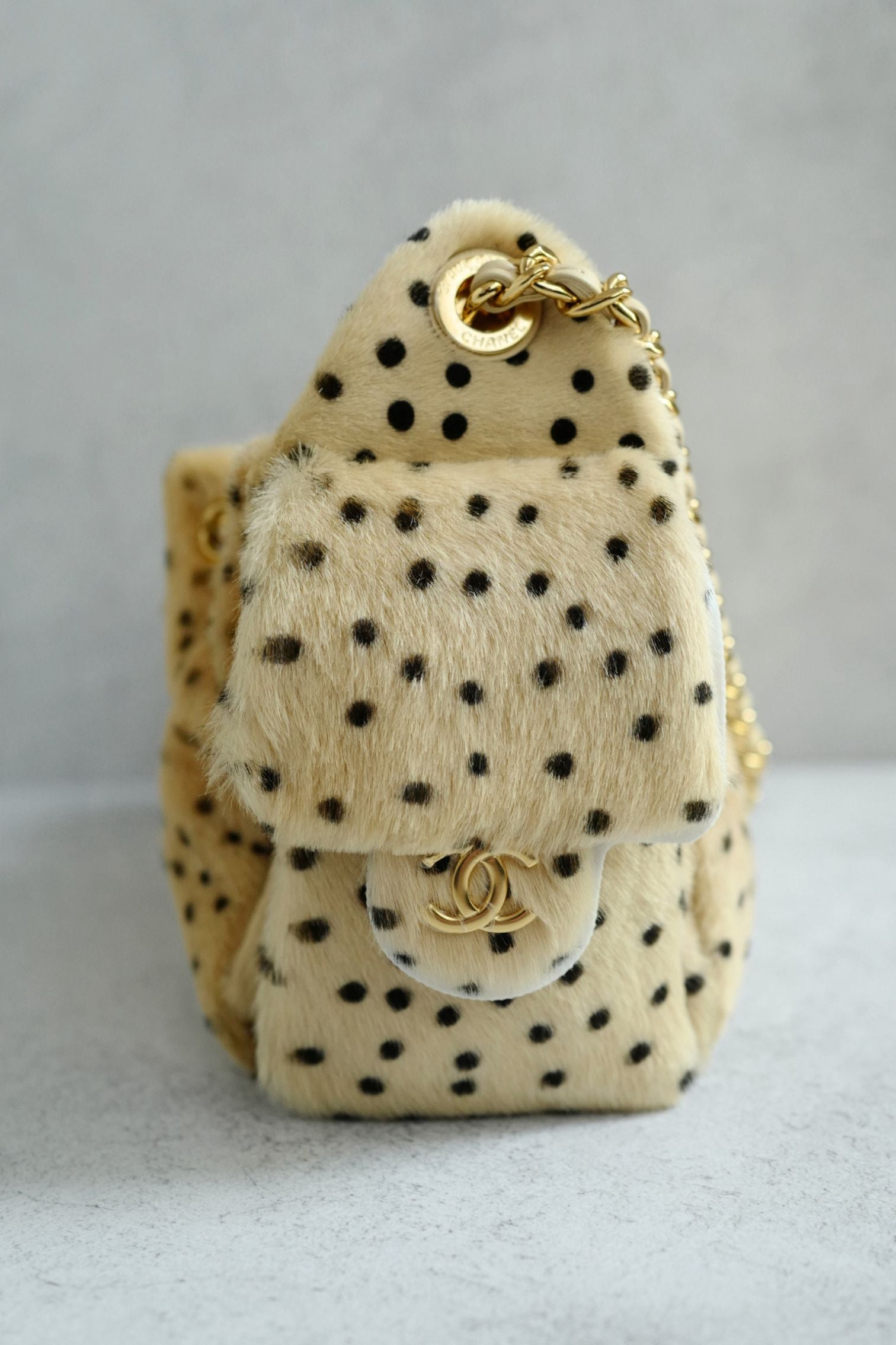 Chanel 26A Mini Hobo Leopard Matthieu Blazy Light Beige & Black GHW
