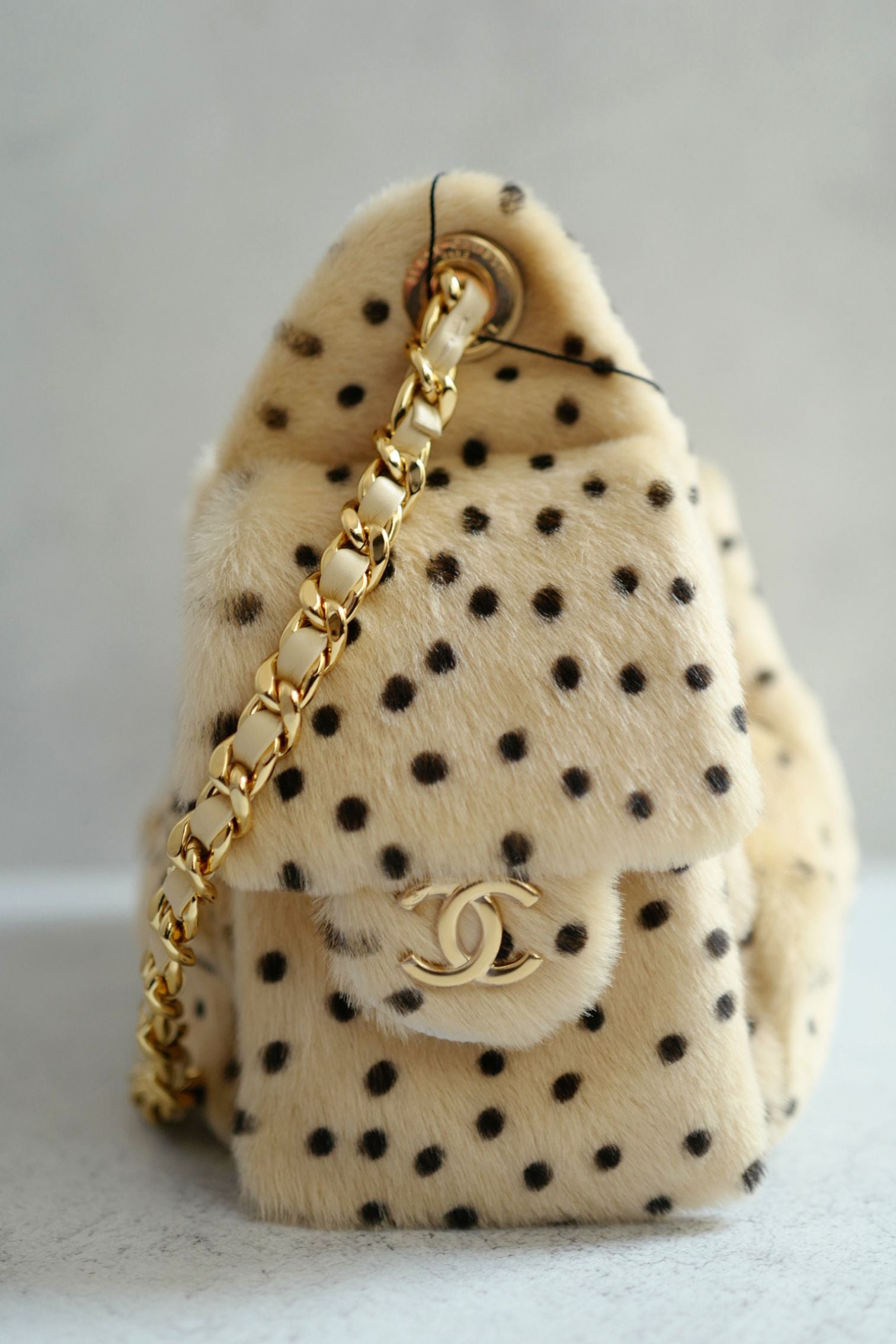 NEW Chanel 26A Mini Hobo Leopard Matthieu Blazy Light Beige & Black GHW