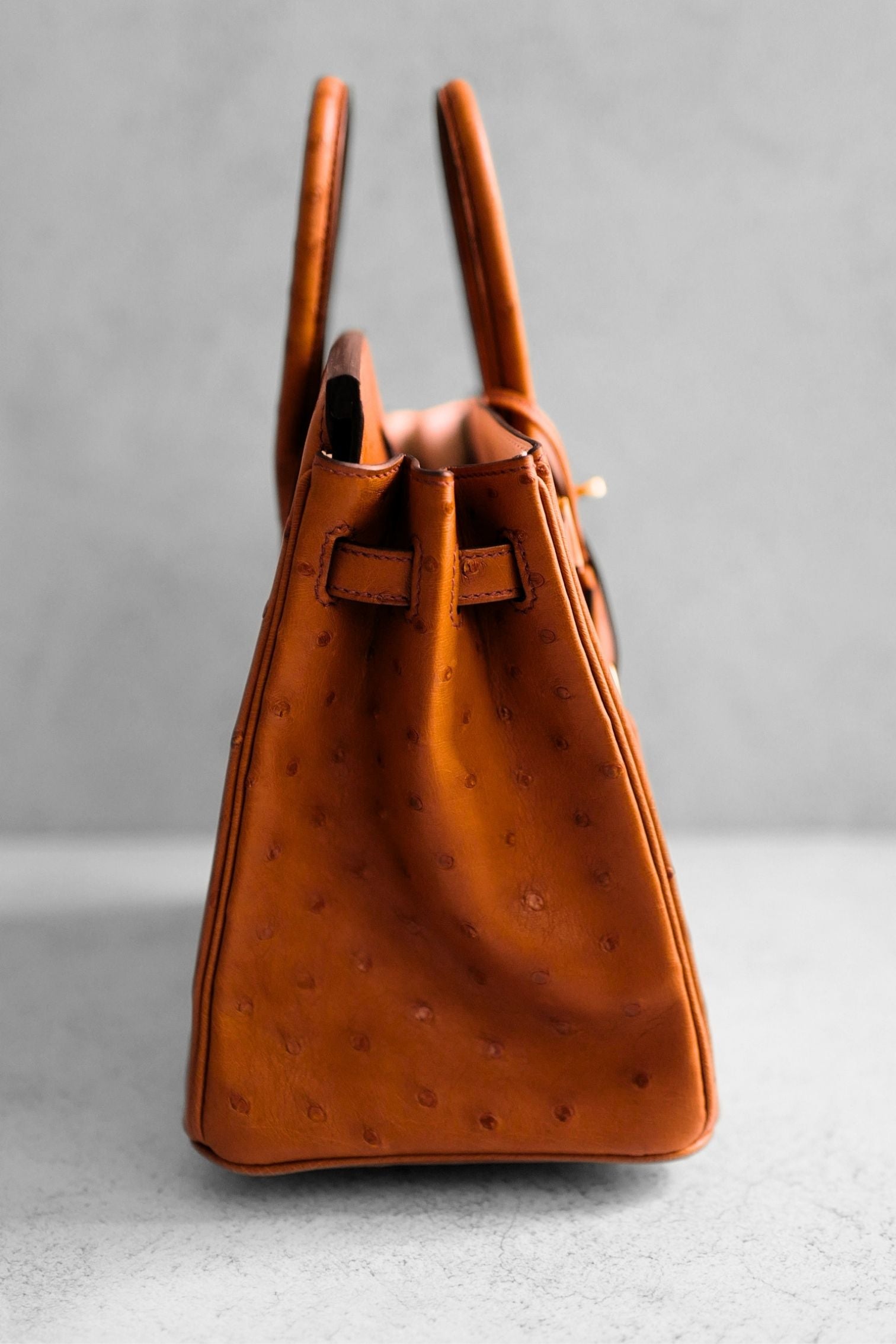 Hermès Birkin 25 Cognac Ostrich Leather Gold Hardware G Stamp 2026