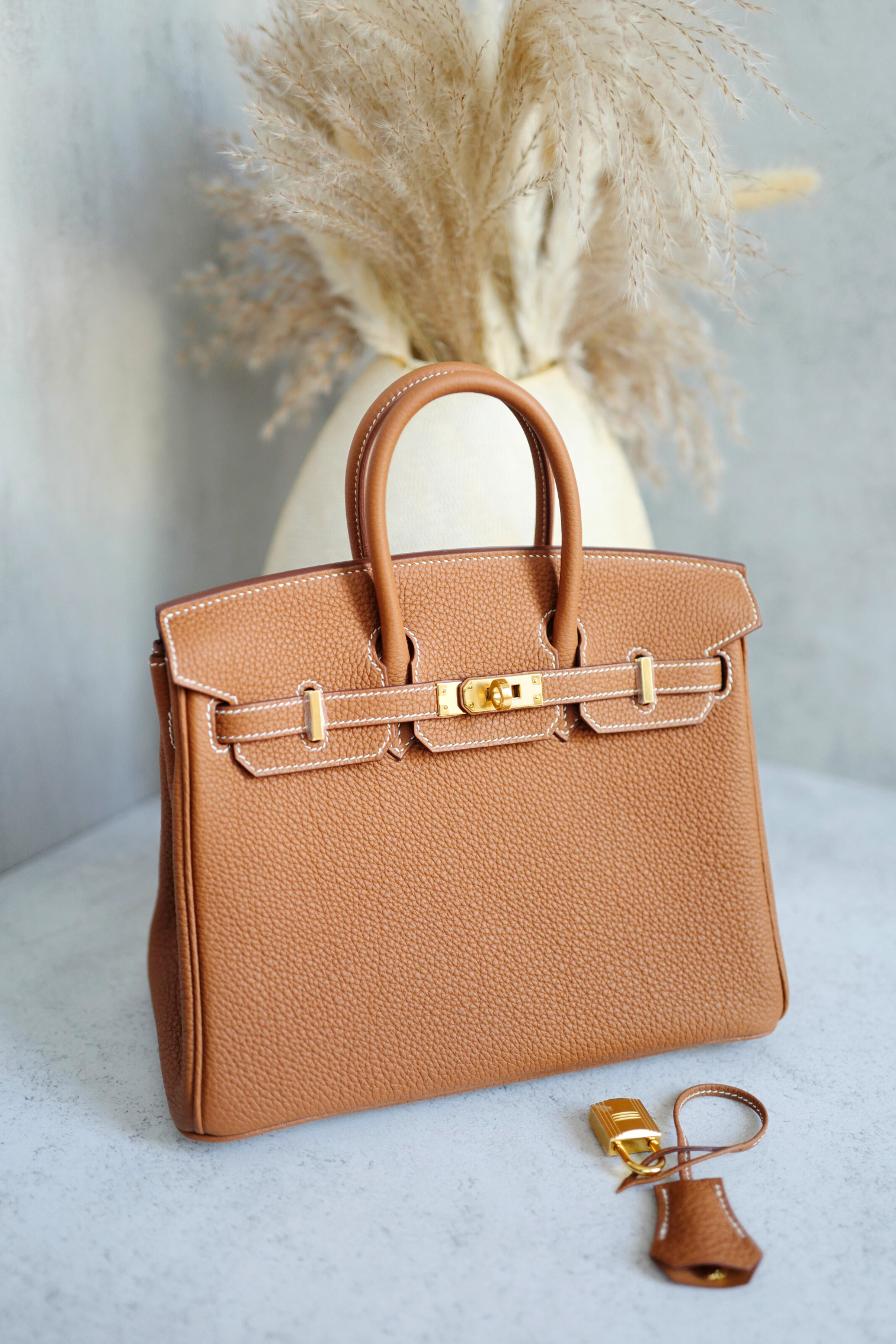 BNIB Hermès Birkin 25 Bag Gold Togo Leather with Gold Hardware