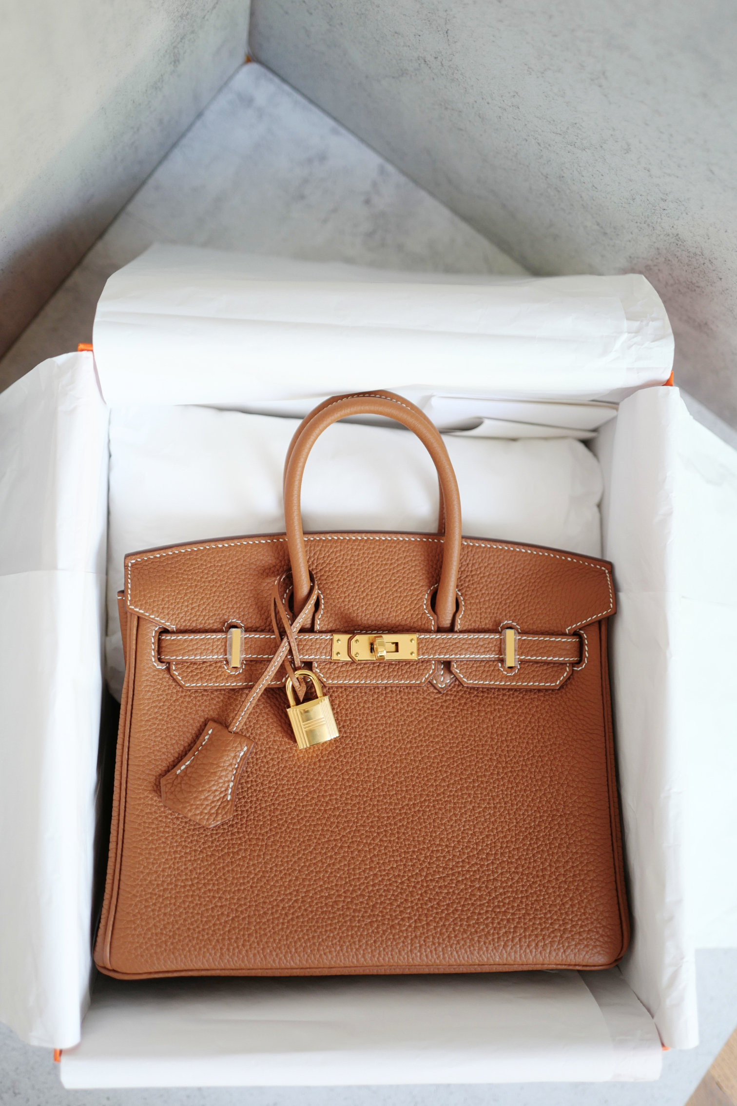BNIB Hermès Birkin 25 Bag Gold Togo Leather with Gold Hardware