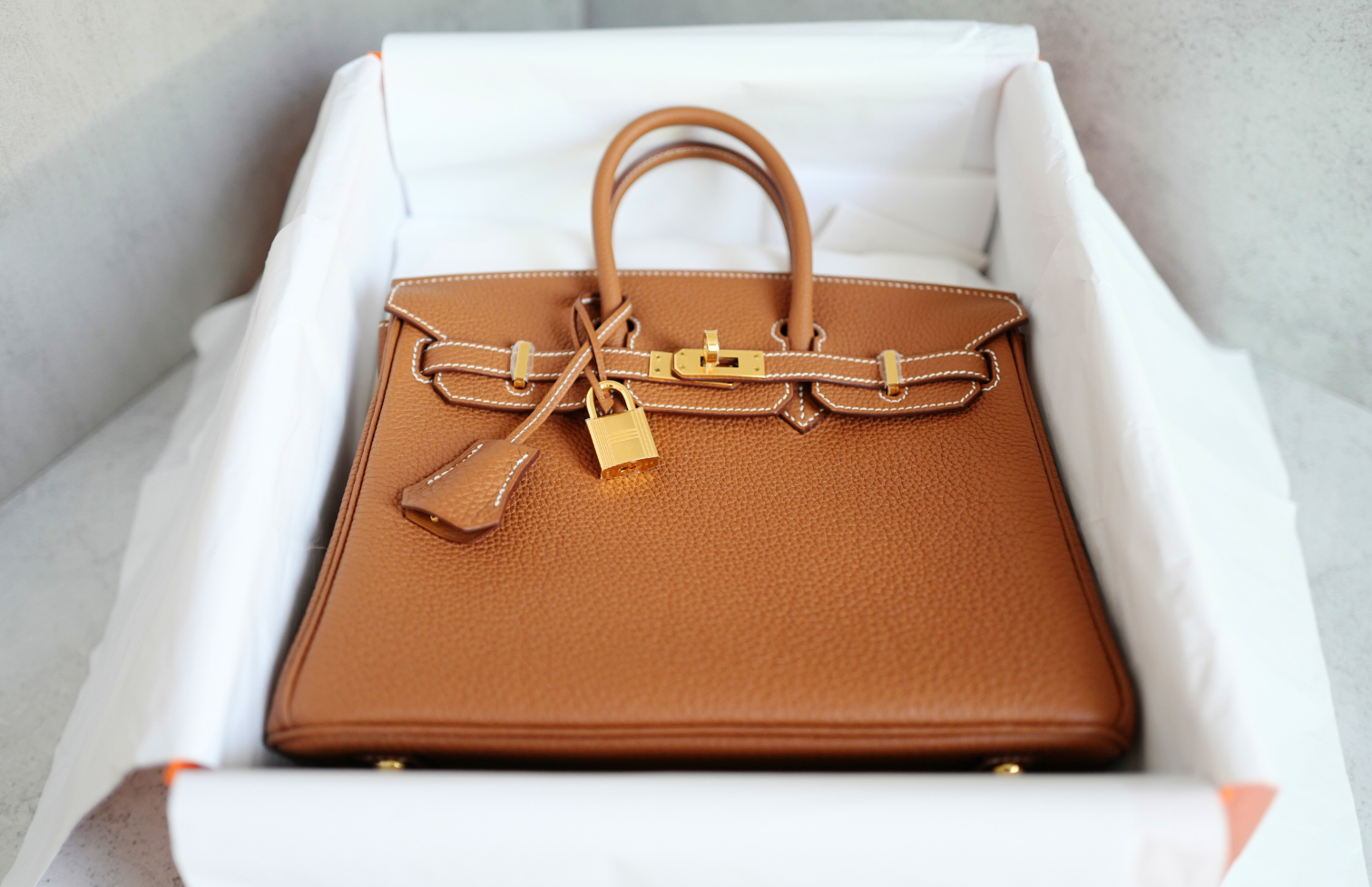 BNIB Hermès Birkin 25 Bag Gold Togo Leather with Gold Hardware