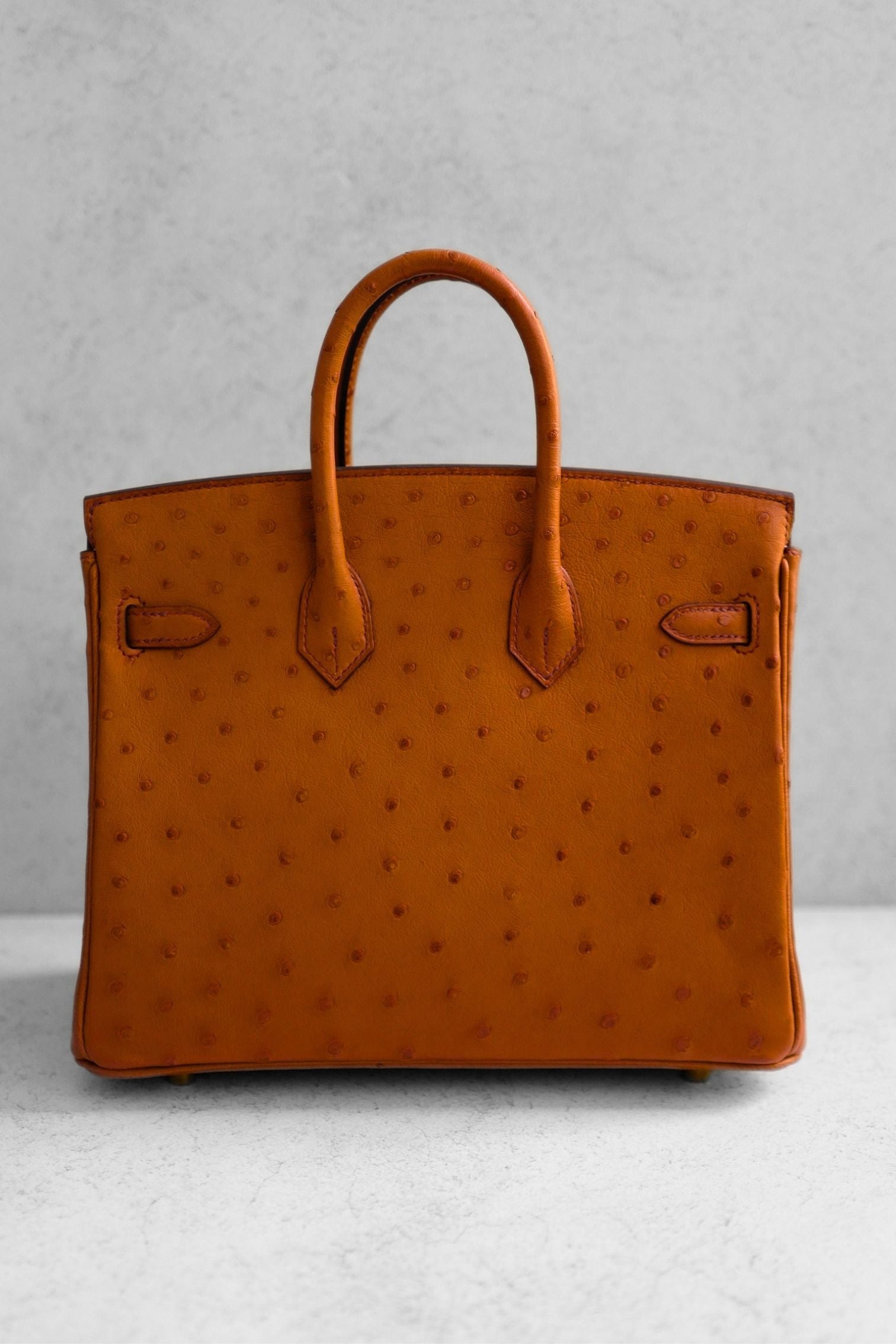 Hermès Birkin 25 Cognac Ostrich Leather Gold Hardware G Stamp 2026