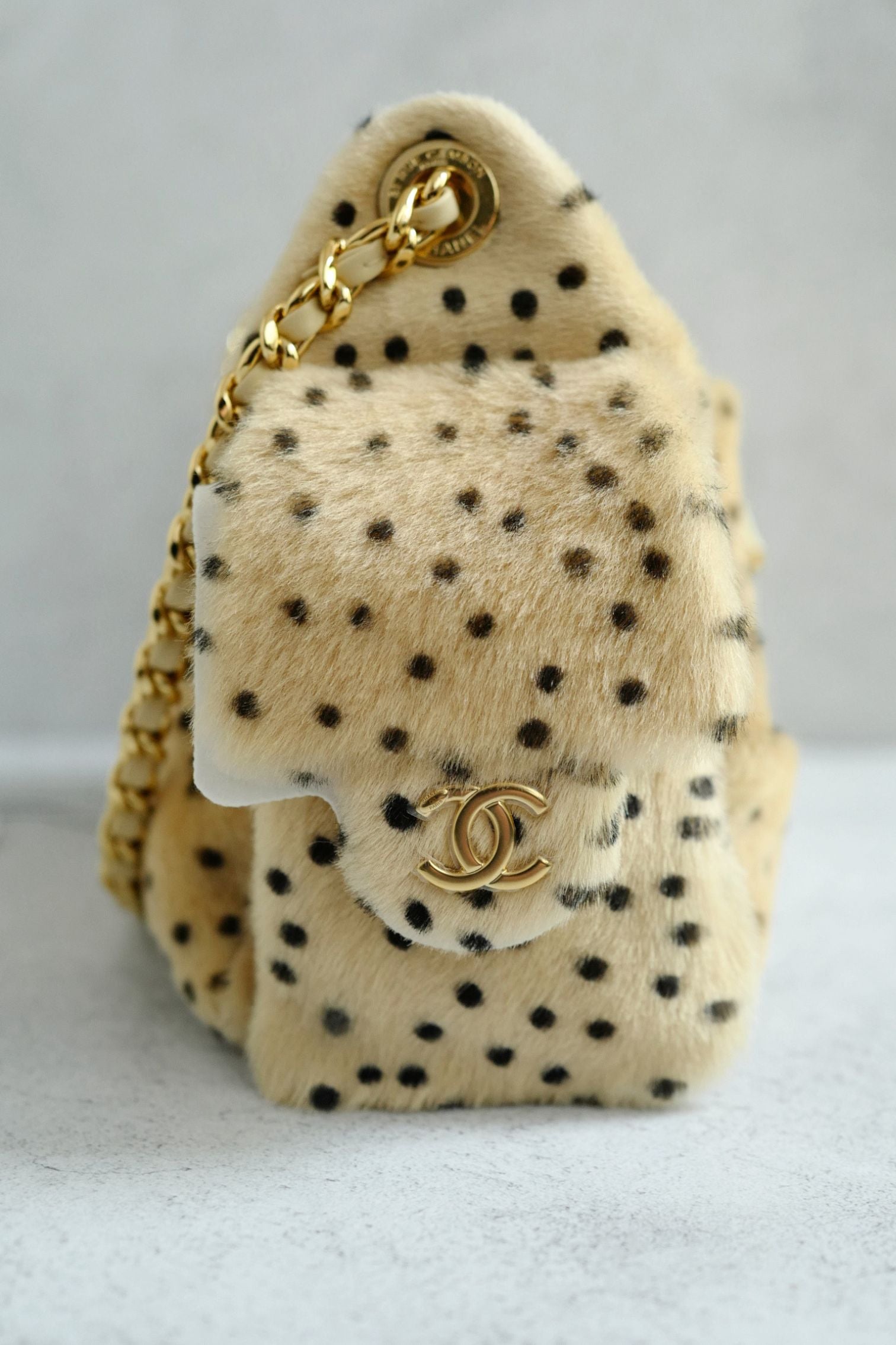 Chanel 26A Mini Hobo Leopard Matthieu Blazy Light Beige & Black GHW