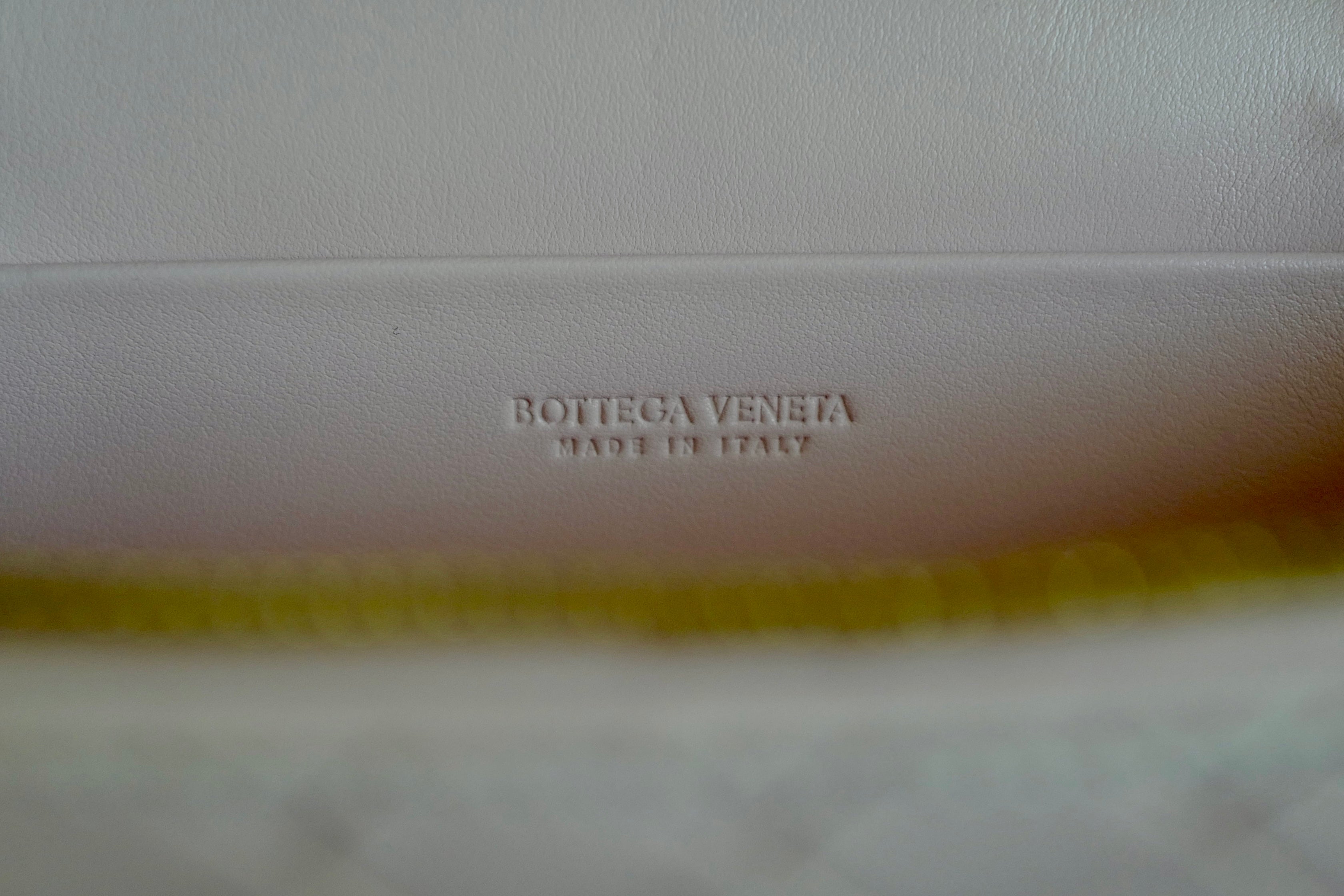 Bottega Veneta Bang Bang Vanity Bag in Cameo Pink NEW