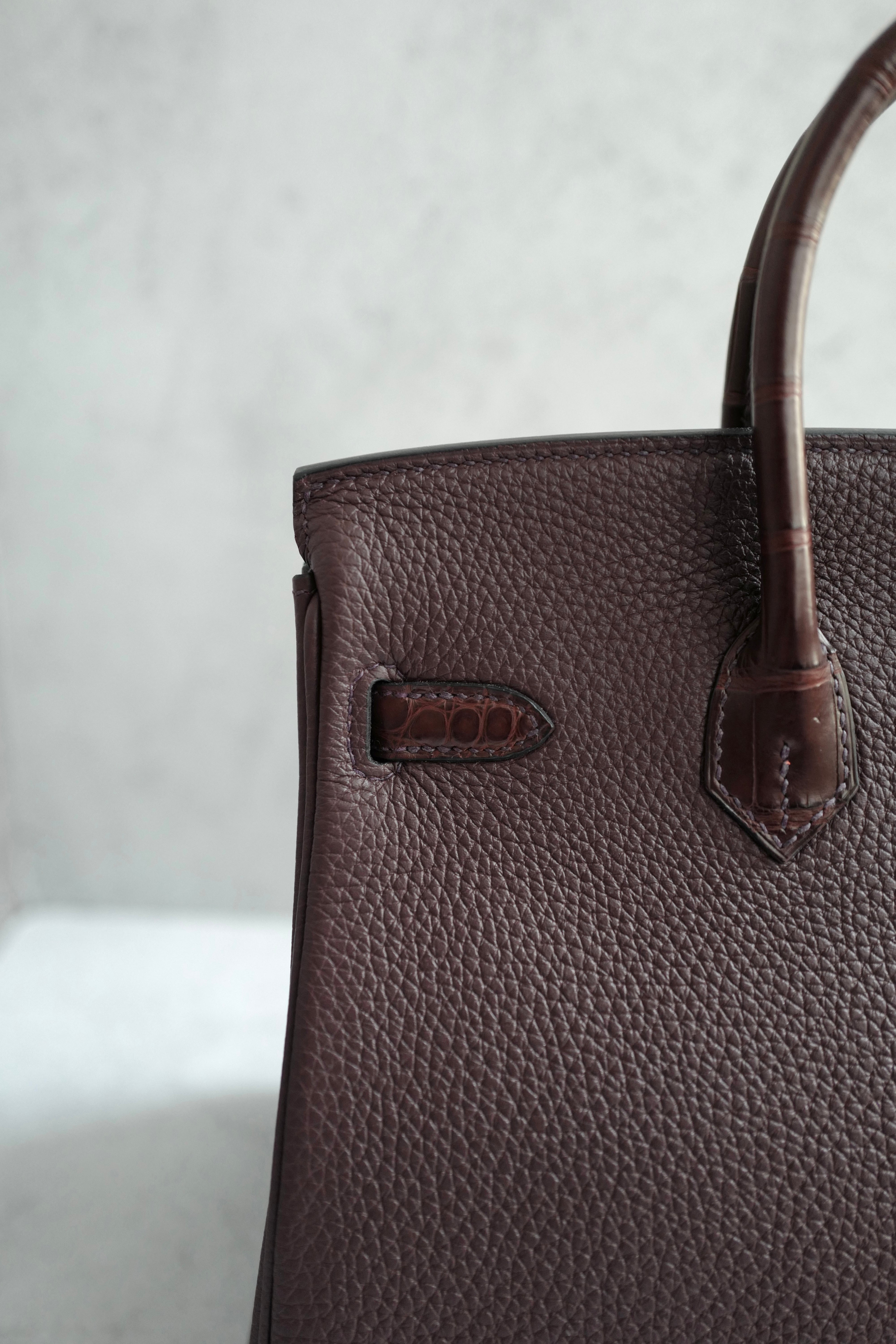 Hermes Birkin 25 Touch Rouge Sellier Togo/Matte Crocodile w/ Champagne Gold HW