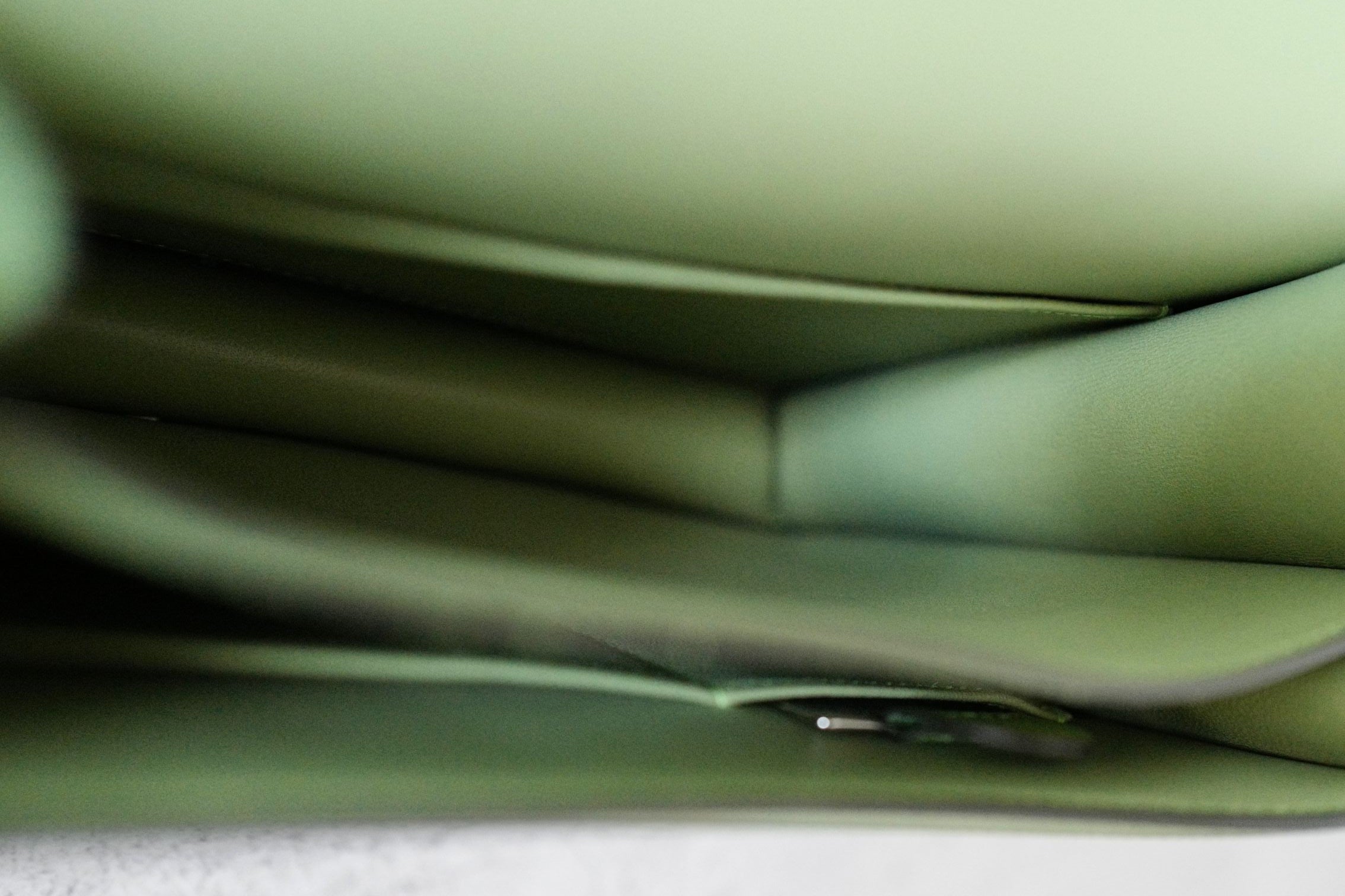Hermes Constance 18 Vert Criquet Epsom Leather Bag Exotic Buckle GHW
