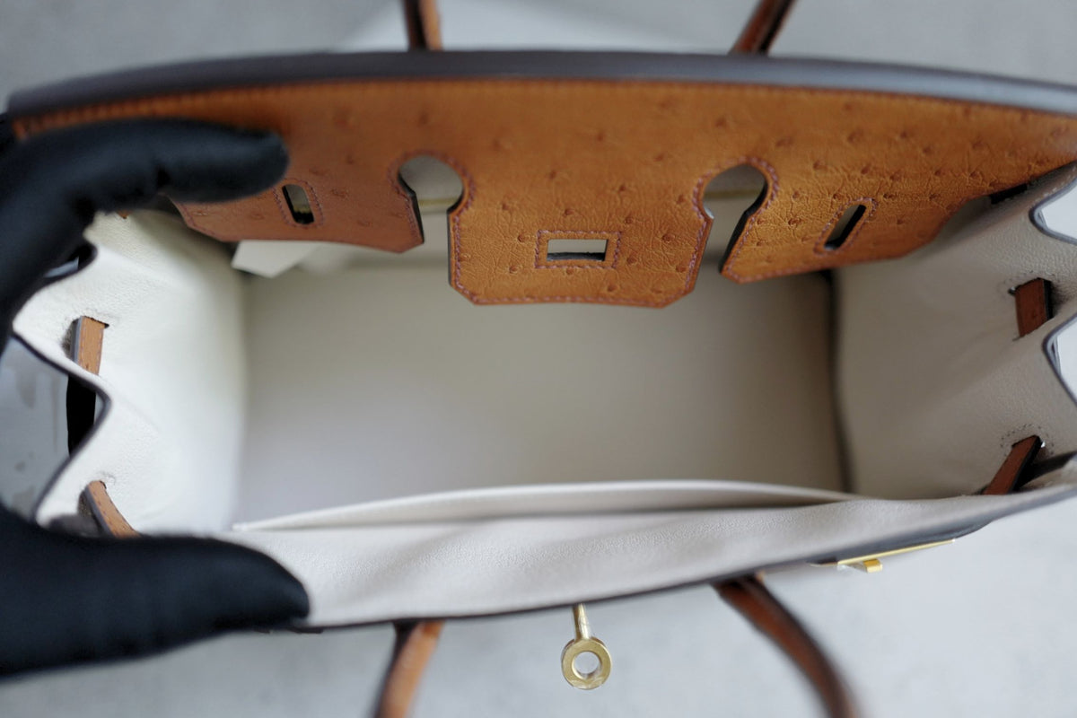 Hermès Birkin 25 Cognac Ostrich Leather Gold Hardware G Stamp 2026
