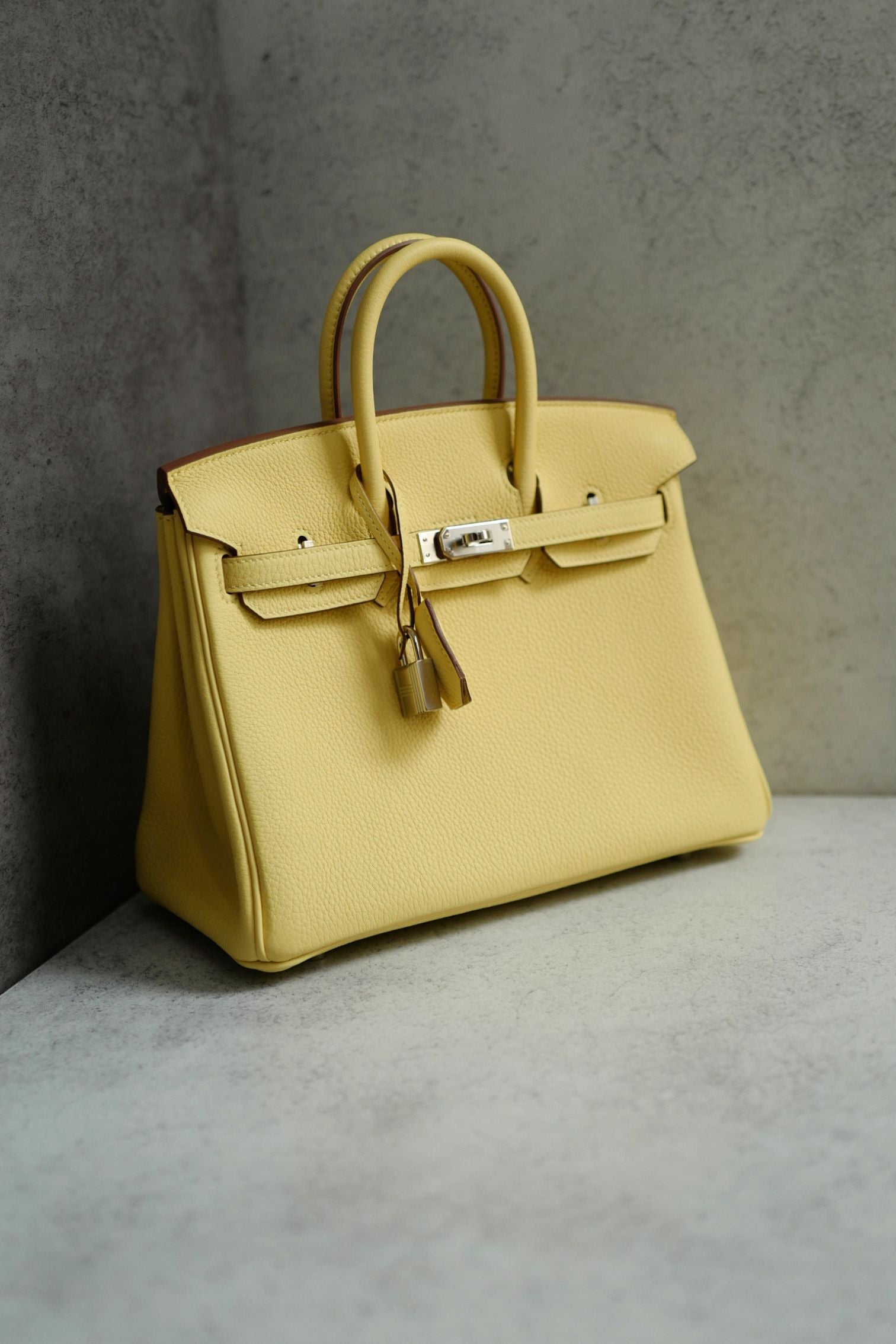 BNIB Hermès Birkin 25 Jaune Poussin Togo Leather Palladium Hardware G Stamp 2026