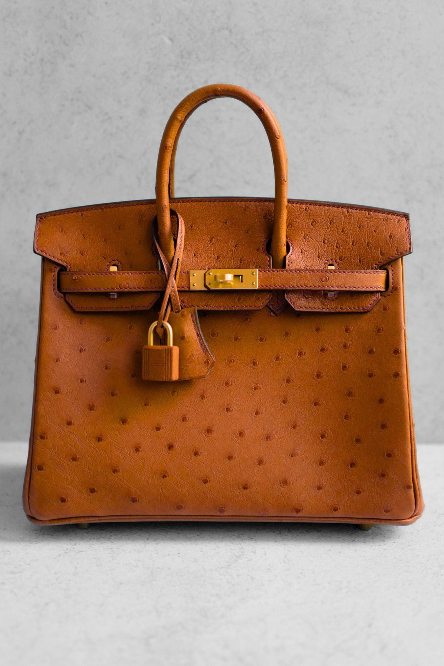 Hermès Birkin 25 Cognac Ostrich Leather Gold Hardware G Stamp 2026