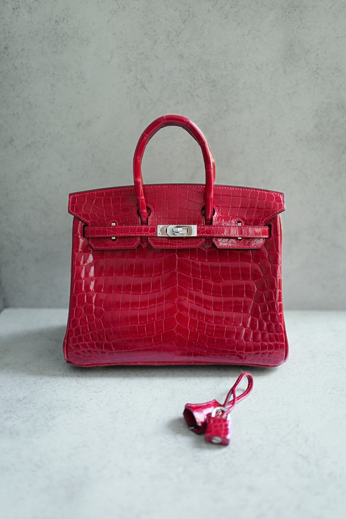 Hermes Birkin 25 Braise Shiny Niloticus Crocodile Palladium Hardware