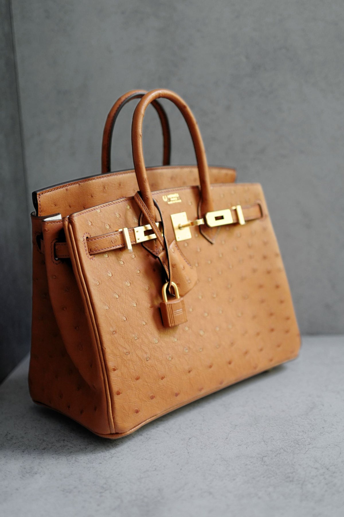 Hermès Birkin 25 Cognac Ostrich Leather Gold Hardware G Stamp 2026