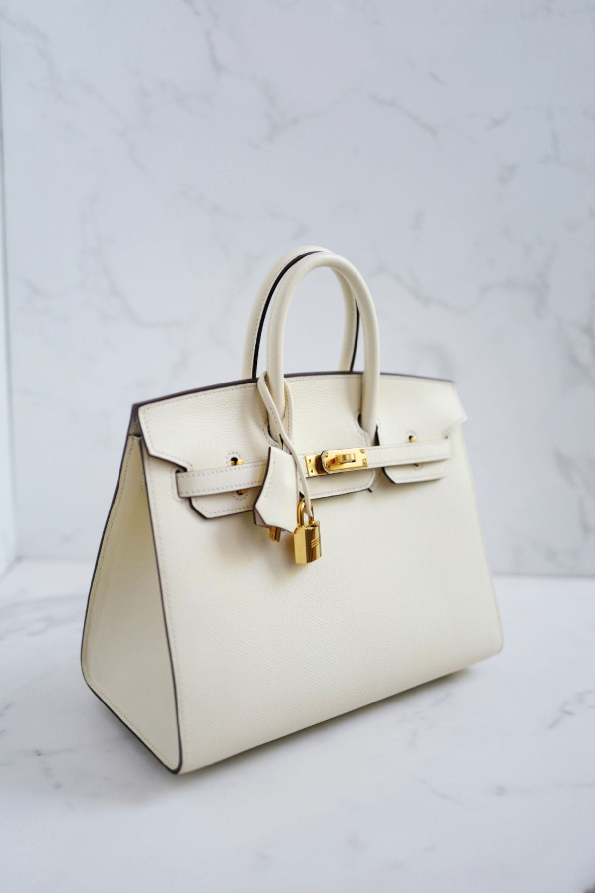 Hermes Birkin 25 Nata Epsom Sellier Gold Hardware