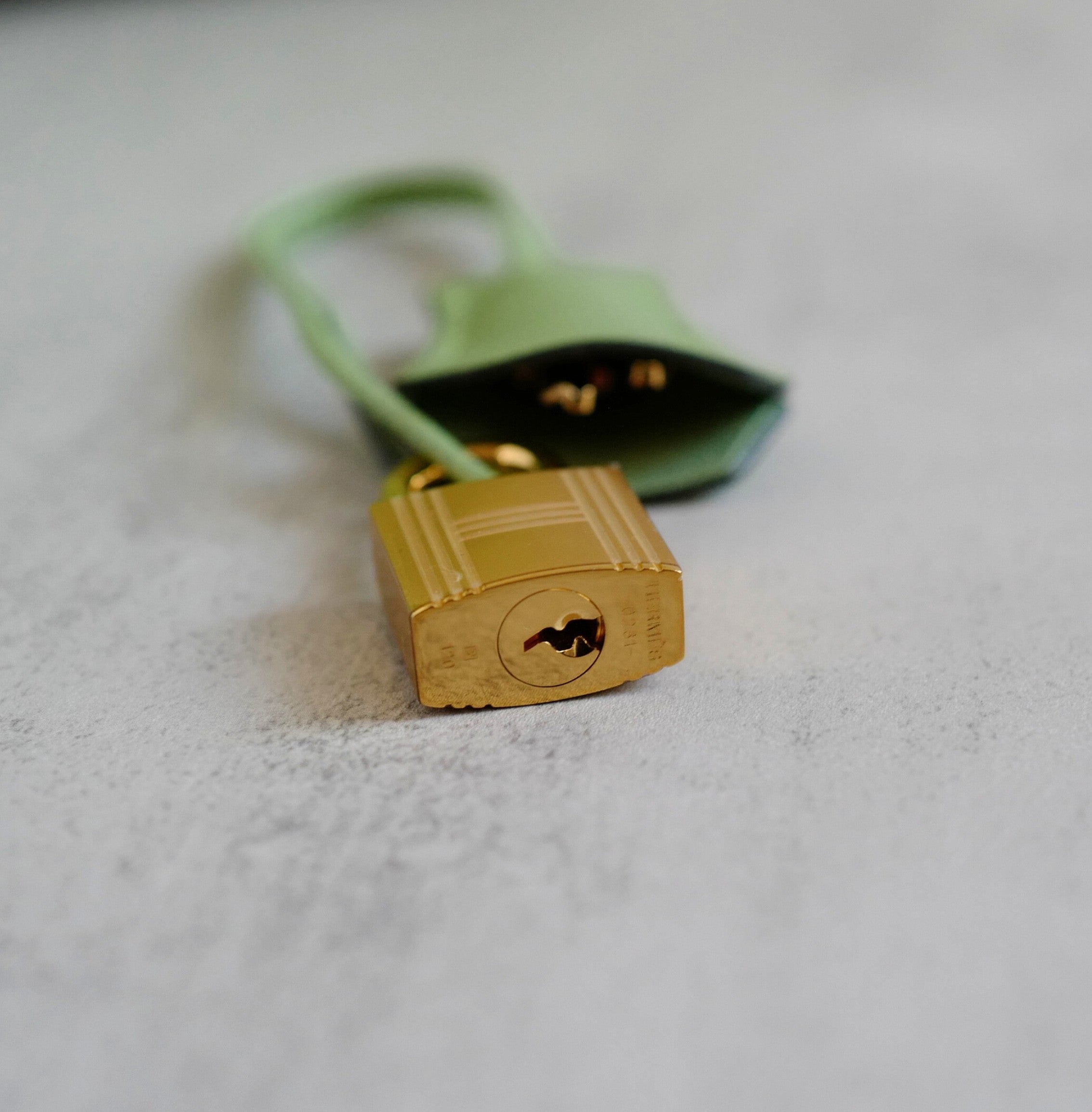 BNIB Hermès Birkin 25 Vert Criquet Epsom Sellier with Gold Hardware