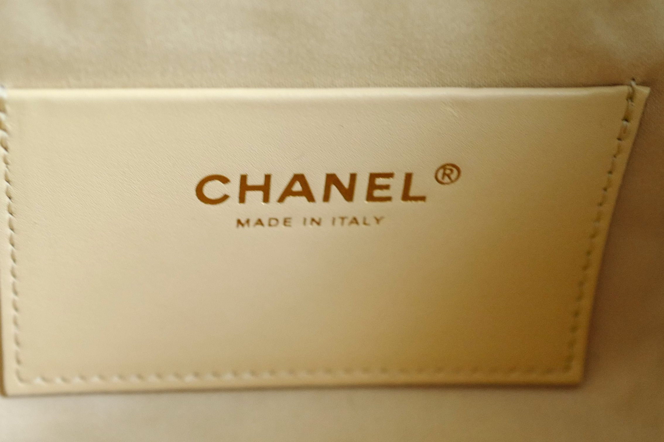 Chanel 26A Mini Hobo Leopard Matthieu Blazy Light Beige & Black GHW