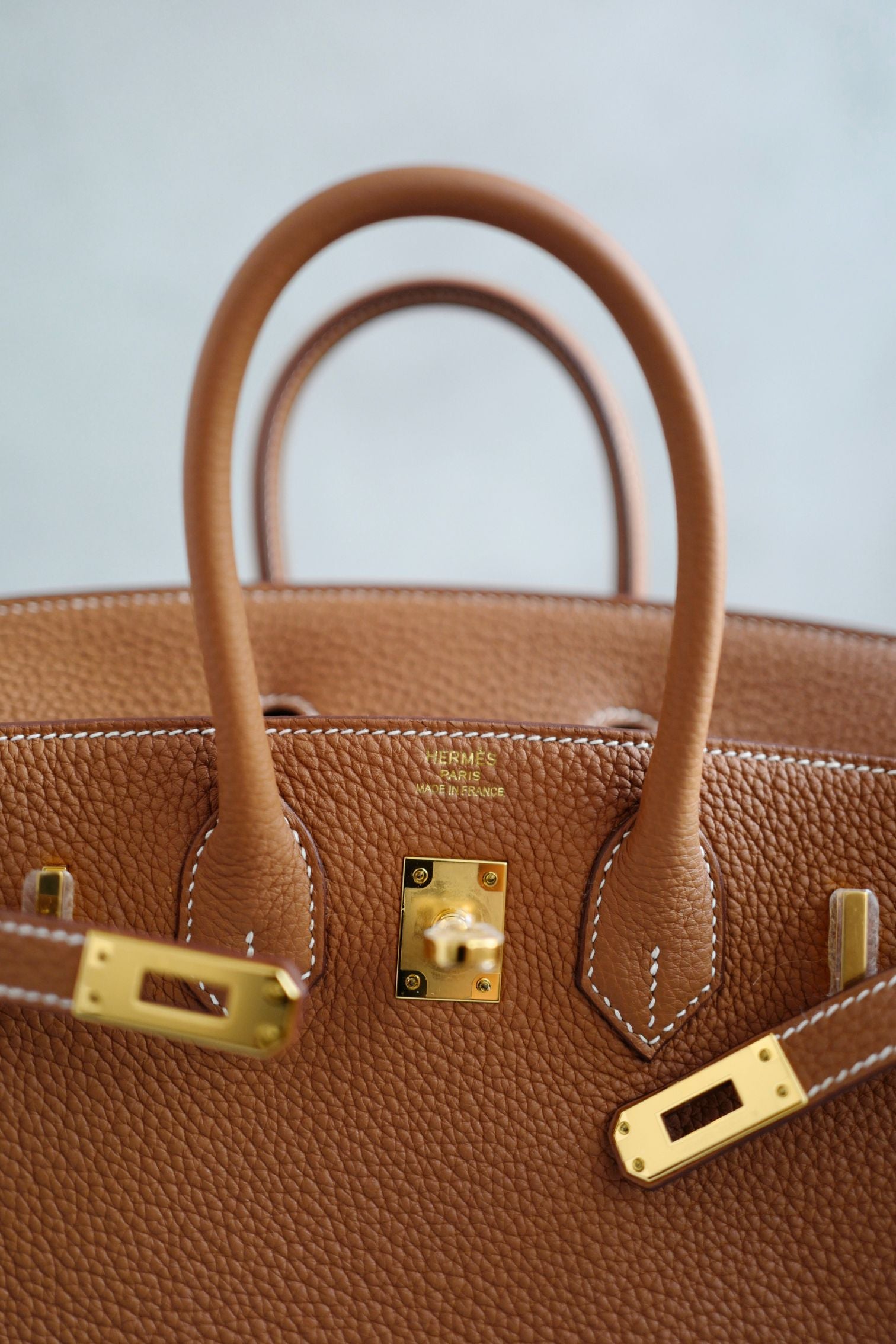 NEW Hermes Birkin 25 Gold Togo Leather Gold Hardware G Stamp 2026