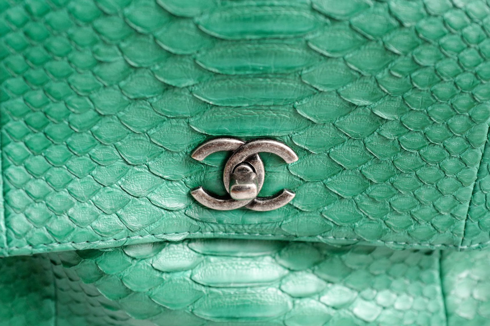 Chanel Gabrielle Backpack Drawstring bag In Phyton Exotic Rare Limited Edition