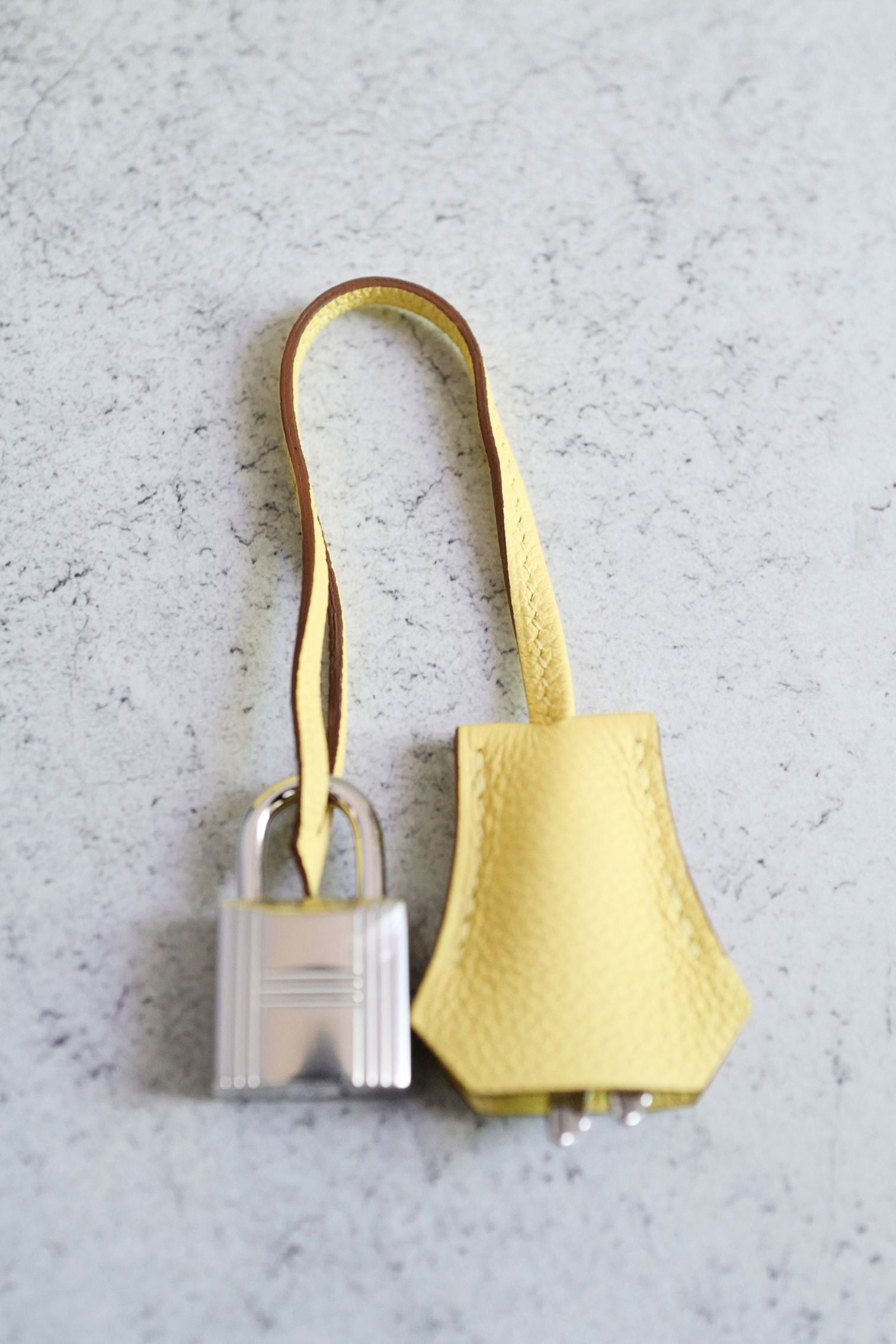 Hermès Birkin 25 Jaune Poussin Togo Leather Palladium Hardware G Stamp