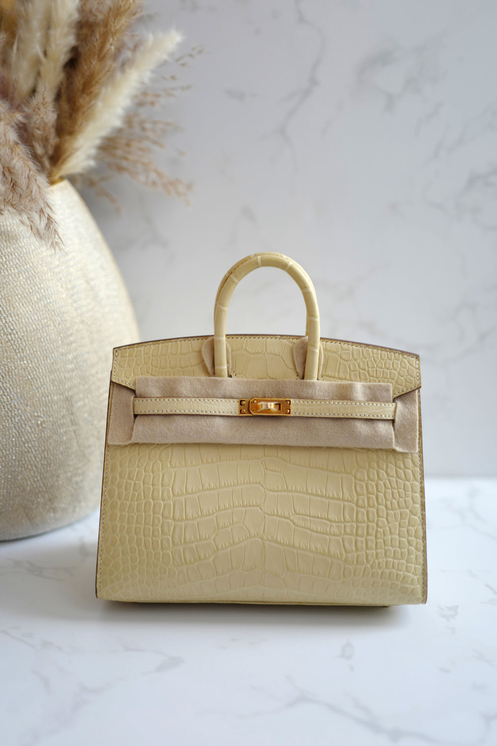 Hermès Birkin 25 with Palladium Hardware