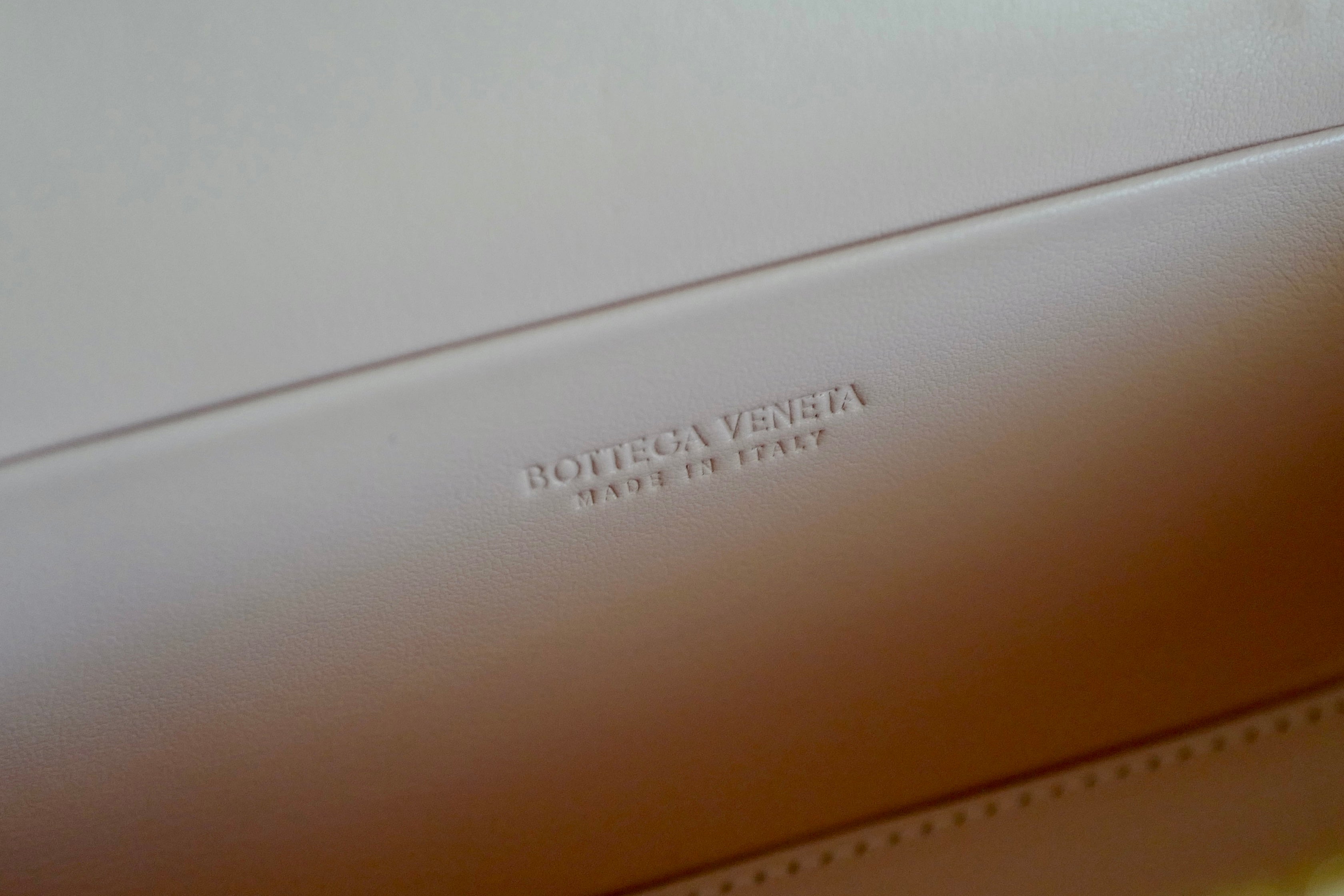 Bottega Veneta Bang Bang Vanity Bag in Cameo Pink NEW
