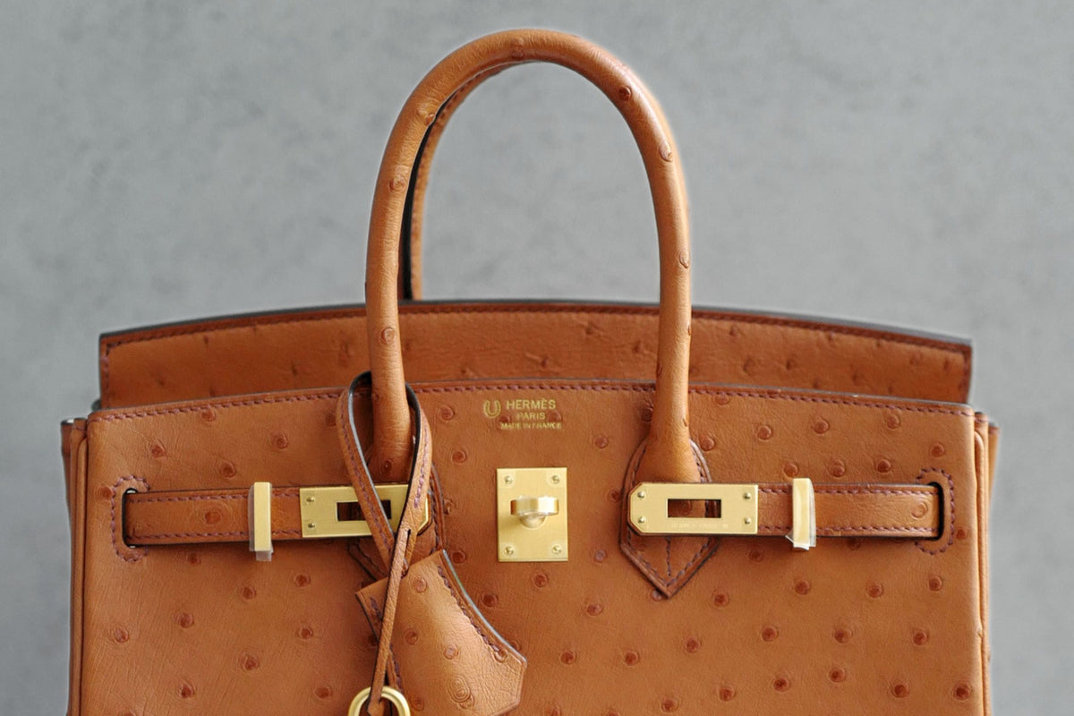 Hermès Birkin 25 Cognac Ostrich Leather Gold Hardware G Stamp 2026