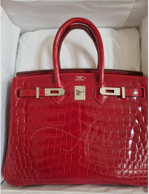 Hermes Birkin 25 Shiny Niloticus In Braise Red With Palladium HW #R