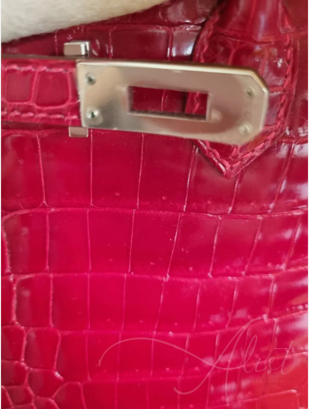 Hermes Birkin 25 Shiny Niloticus In Braise Red With Palladium HW #R